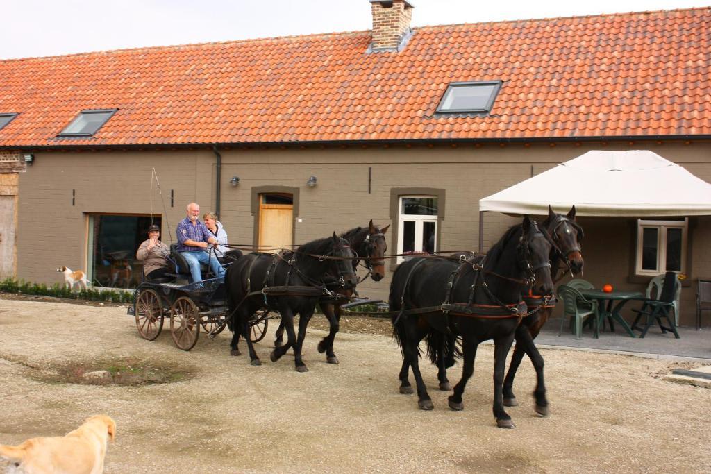 B&B Crijbohoeve Zutendaal Kültér fotó